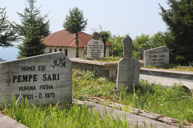 <p><span style="color:#A52A2A"><strong>T&Uuml;M MEZAR TAŞLARI "SARI" SOYADINDA</strong></span></p>

<p>&nbsp;</p>

<p>Bu durumda ise T.C. kimlik numaraları, anne ve baba adları ile lakaplar devreye giriyor.&nbsp;&nbsp;</p>
