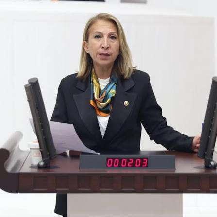 <p><strong>S&Uuml;REYYA &Ouml;NEŞ DERİCİ</strong></p>
