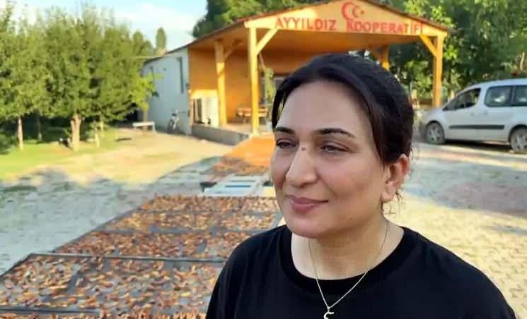<div>Iğdır'da yaklaşık 4 yıl &ouml;nce kurulan Ayyıldız Kadın Girişimi &Uuml;retim ve İşletme Kooperatifi, &uuml;reticilerden satın aldığı kayısılarını bir b&ouml;l&uuml;m&uuml;n&uuml; &ccedil;eşidine g&ouml;re re&ccedil;el yapımında değerlendirirken, &ouml;nemli bir b&ouml;l&uuml;m&uuml;n&uuml; de g&uuml;neşte kurutuyor.</div>

<div>Kadınların el emeğiyle ayıklanan kayısılar, hi&ccedil;bir katkı maddesi kullanılmadan g&uuml;neşte doğal y&ouml;ntemlerle kurutuluyor. Kurutulan kayısılar, kooperatifin satış noktaları, sipariş hattı ve internet &uuml;zerinden t&uuml;keticilere ulaştırılıyor.</div>
