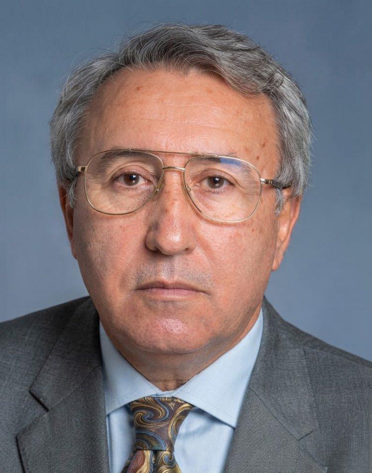 <p><strong>İSMET &Ccedil;ANAKCI</strong></p>
