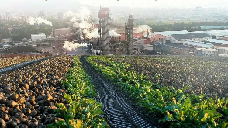 <p>Alıcılar; konut, ticaret, turizm, tarım, sanayi, spor, &ouml;zel eğitim, kentsel &ccedil;alışma, plansız alan, rekreasyon alanı, akaryakıt tesis alanı ve ağa&ccedil;landırılacak alan niteliğindeki arsalara, y&uuml;zde 25 peşinat 48 ay vade ve y&uuml;zde 30 peşinat 48 ay vade ile sahip olabilecek. Bazı taşınmazlar ise peşin bedelle satılacak.</p>
