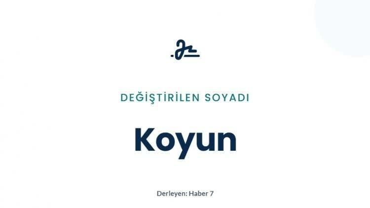 <p><strong>2)&nbsp; KOYUN</strong></p>
