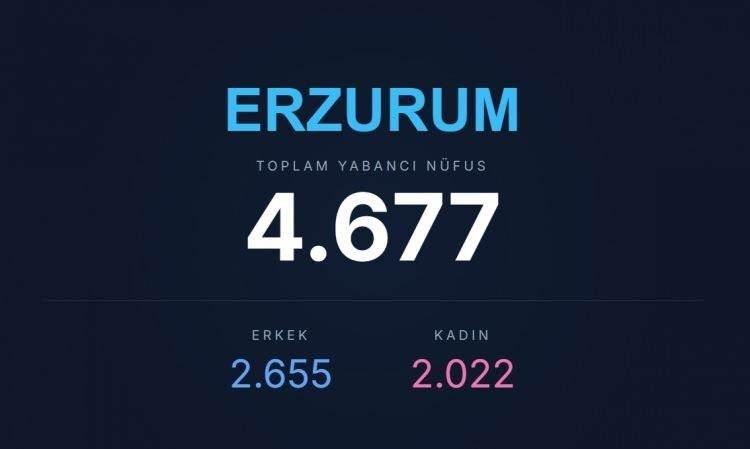 <p><span style="color:#B22222"><strong>ERZURUM</strong></span></p>
