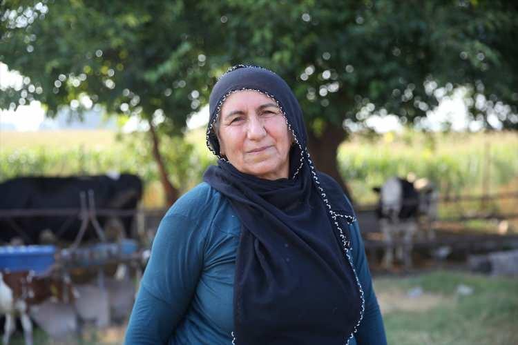 <p><span style="color:#A52A2A"><strong>"&Ouml;P&Uuml;YORUM, SEVİYORUM"</strong></span></p>

<p>&nbsp;</p>

<p>Eşi Hediye Avşar da gece g&uuml;nd&uuml;z buzağılarıyla ilgilendiğini vurgulayarak,<strong><em> "Buzağılar yemezlerse bazen şırıngayla veriyorum, sonra biberona ge&ccedil;iyorum. &Ouml;p&uuml;yorum, seviyorum, onlara s&uuml;t veriyorum. Su verip otlatıyorum, yeter ki yesinler."</em></strong> diye konuştu.</p>
