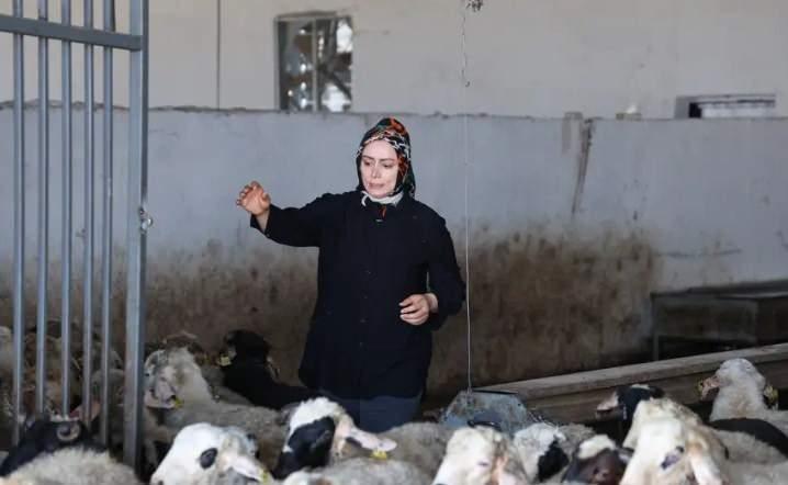 <p><span style="color:#800080"><strong>İŞİNİ B&Uuml;Y&Uuml;TMEYİ D&Uuml;Ş&Uuml;N&Uuml;YOR</strong></span></p>

<p>Atalarından kalan hayvancılık gelenekselini devlet desteğiyle b&uuml;y&uuml;tt&uuml;ğ&uuml;n&uuml; belirten Nurcan Fıratoğlu,<strong><em> "3 &ccedil;ocuk annesiyim. Buradan TKDK'nin desteğiyle bu işe giriştik. Şu anda onun heyecanını yaşıyorum. TKDK'nin bize sunduğu bu hibeden dolayı &ccedil;ok teşekk&uuml;r ediyorum. Ben bir kadın girişimci olarak b&uuml;t&uuml;n bayanlara, b&uuml;t&uuml;n girişimcilere bu işi tavsiye ediyorum. Biz bu işi sadece bir iş olarak değil, severek yapıyoruz. G&ouml;n&uuml;l işi, emek işi. İnşallah hem &uuml;lkemize hem b&ouml;lgemize &ccedil;ok g&uuml;zel bir katkı olur. Cumhurbaşkanımızın ve Tarım Bakanımızın desteklerinden dolayı &ccedil;ok teşekk&uuml;r ediyorum. Aynı zamanda eşime ve &ccedil;ocuklarıma da &ccedil;ok teşekk&uuml;r ediyorum, her zaman yanımdalar ve bana yardımcı oluyorlar. G&uuml;nl&uuml;k yemlerimizi, sularımızı, hayvanlarımızın takibini hepsini yapıyoruz. Tarım Bakanlığımız izin verirse kendi b&uuml;t&ccedil;emle bir mandıra daha kurmayı d&uuml;ş&uuml;n&uuml;yorum. Daha &ouml;nceden babamın da vardı, k&uuml;&ccedil;&uuml;kl&uuml;kten beri bu işi yapıyoruz. Anneden, babadan, atadan, dededen gelen bir işimiz. Eşim ve &ccedil;ocuklarımdan dolayı &ccedil;ok ş&uuml;k&uuml;r sıkıntı yaşamıyoruz, hep beraber y&uuml;r&uuml;t&uuml;yoruz"</em></strong> dedi.</p>
