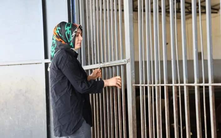 <p>Proje kapsamında başvurusunu ger&ccedil;ekleştirerek destek almaya hak kazanan Fıratoğlu, ge&ccedil;en yıl inşaatına başladığı tesisi tamamlayarak eşi Bayram Fıratoğlu ile birlikte işletmeye a&ccedil;tı. Girişimci Fıratoğlu ve aile &uuml;yeleri, 500 başlık tesiste k&uuml;&ccedil;&uuml;kbaş hayvan yetiştiriciliği yaparak b&ouml;lge &uuml;retimine katkı sağlıyor.</p>

<p>&nbsp;</p>
