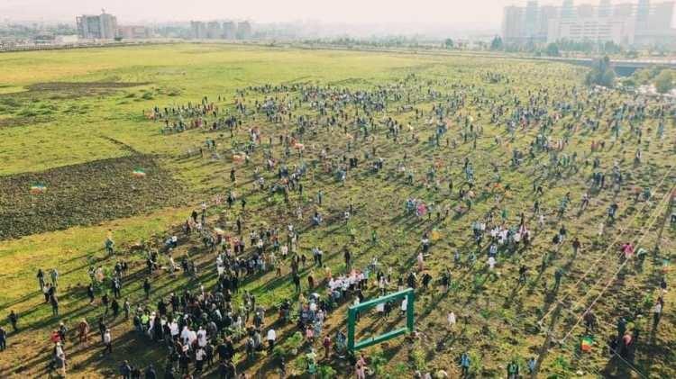 12 saate 353 milyon ağa&ccedil; dikimi &uuml;lkede felaketi getirdi: Doğanın dengesi alt &uuml;st oldu