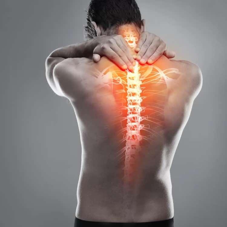 <p>Multiple myelomun, bağışıklık sisteminin &ouml;nemli h&uuml;crelerinden biri olan plazma h&uuml;crelerinin kontrols&uuml;z &ccedil;oğalması sonucu gelişen bir hematolojik kanser olduğunu ifade eden Medicana Bursa Hastanesi Hematoloji Uzmanı Dr. Serta&ccedil; Durusoy, hastalığın yalnızca kemikleri değil, b&ouml;brekler başta olmak &uuml;zere bir&ccedil;ok organı etkileyebildiğini s&ouml;yledi.</p>
