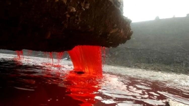 <p>Araştırmacılar, buzulun bitiş noktası yakınlarında aktif ve deniz kaynaklı mikroskobik &ouml;karyot canlılardan oluşan bir topluluğun molek&uuml;ler kanıtlarına rastladı.</p>

<p>&nbsp;</p>
