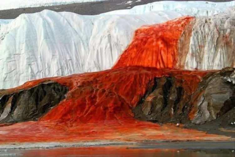 <p>Araştırmacılar ayrıca &ouml;rnekler arasında fotosentez, stres tepkileri, h&uuml;cresel onarım ve tuzlu koşullarda hayatta kalma ile bağlantılı gen aktivitesine sahip aktif &ouml;karyotlara da rastladı.</p>

<p>&nbsp;</p>
