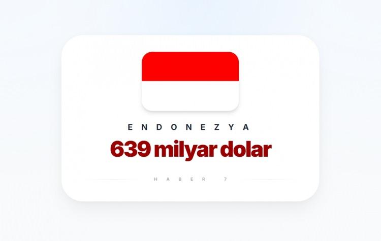 <p><span style="color:#B22222"><strong>19)&nbsp; ENDONEZYA</strong></span></p>

