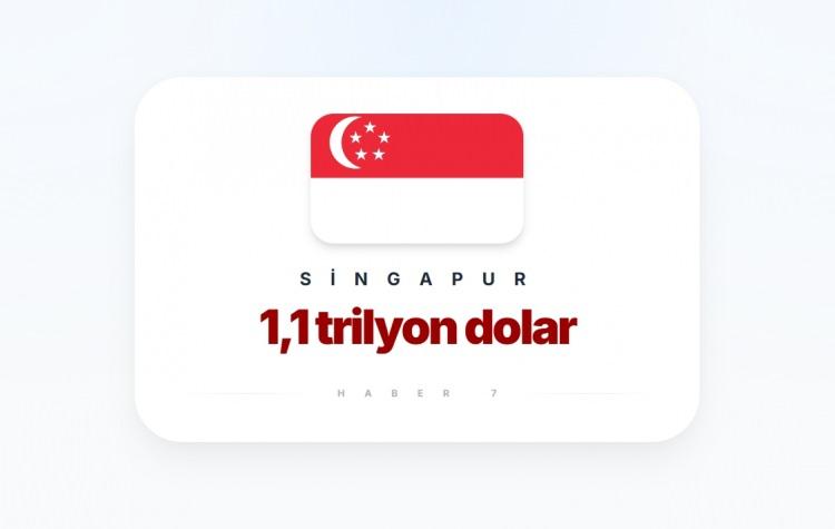 <p><span style="color:#B22222"><strong>13)&nbsp; SİNGAPUR</strong></span></p>

