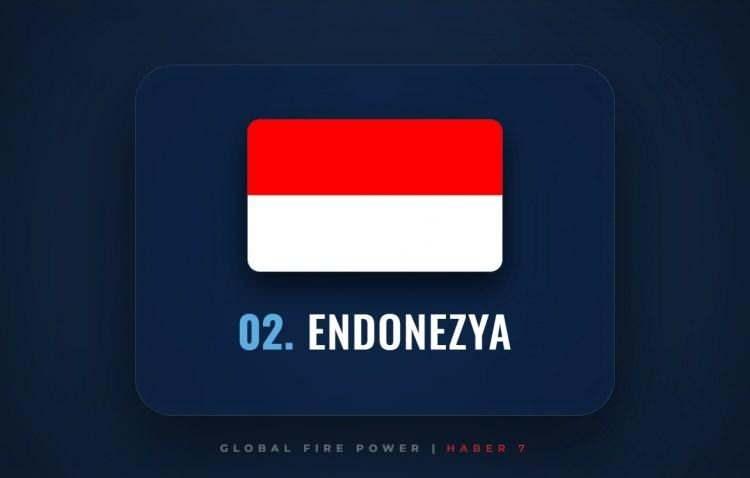 <p><span style="color:#B22222"><strong>2)&nbsp; ENDONEZYA</strong></span></p>
