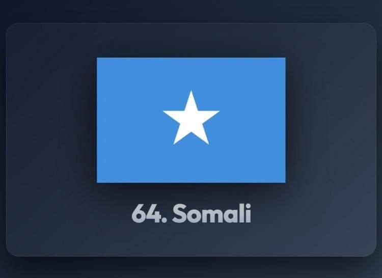 <p><span style="color:#B22222"><strong>64)&nbsp; SOMALİ</strong></span></p>
