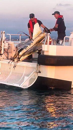 <p>Sakarya'nın Kocaali il&ccedil;esinde kıyıdan yaklaşık 500 metre a&ccedil;ıkta insansız hava aracı (İHA) bulundu. İHA, incelenmek &uuml;zere ekipler tarafından alınarak<strong><em> Sahil G&uuml;venlik Komutanlığı'na</em></strong> g&ouml;t&uuml;r&uuml;ld&uuml;.</p>
