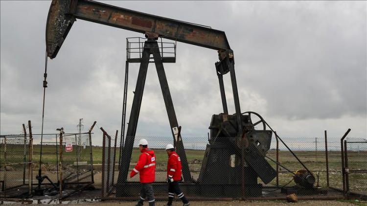 <div>Bayraktar, AA muhabirine yaptığı a&ccedil;ıklamada, T&uuml;rkiye'nin yurt dışındaki enerji yatırımlarının yalnızca petrol ve doğal gaz &uuml;retimini artırmayı hedeflemediğini, aynı zamanda &uuml;lkenin teknik bilgi birikimini, teknolojisini, sermayesini ve faaliyet kapasitesini uluslararası pazarlara taşımayı ama&ccedil;ladığını ifade etti.</div>

<div>&nbsp;</div>

<div>Atılan her uluslararası adımın, T&uuml;rkiye'yi enerji kaynaklarına erişen bir &uuml;lkeden enerji &uuml;reten, yatırım yapan, ortaklık kuran ve k&uuml;resel enerji denkleminde s&ouml;z sahibi olan bir &uuml;lkeye d&ouml;n&uuml;şt&uuml;ğ&uuml;n&uuml; ifade eden Bayraktar, "T&uuml;rkiye, enerjide tam bağımsızlık hedefi doğrultusunda &uuml;&ccedil; kıtada faaliyet g&ouml;steriyor. T&uuml;rkiye, Kerk&uuml;k'ten Somali'ye, Libya'dan Umman'a, Azerbaycan'dan Macaristan'a kadar kara ve denizde g&uuml;&ccedil;l&uuml; ortaklıklarla enerji piyasasında aktif ve g&uuml;&ccedil;l&uuml; bir &uuml;lke konumuna geliyor. Bu stratejinin merkezinde ise T&uuml;rkiye Petrolleri Anonim Ortaklığı'nın (TPAO) g&uuml;nl&uuml;k 1 milyon varil petrol eşdeğeri hidrokarbon &uuml;retim kapasitesine sahip uluslararası bir enerji şirketine d&ouml;n&uuml;şt&uuml;r&uuml;lmesi hedefi bulunuyor." diye konuştu.</div>

<div>&nbsp;</div>
