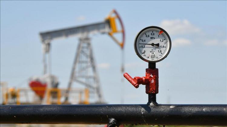 <p>Tamasi sahasında ise 3B sismik veri toplama &ccedil;alışmaları devam etmektedir. Shell ile Bulgaristan'ın Karadeniz'deki Khan Tervel sahasında başlatılan ortak arama faaliyetleri, T&uuml;rkiye'nin Avrupa enerji g&uuml;venliğine katkı sunma vizyonunun &ouml;nemli &ouml;rneklerinden biridir." değerlendirmesinde bulundu.</p>

<p>&nbsp;</p>
