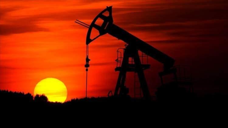 <div>Bayraktar, bu hedef doğrultusunda TPAO'nun uluslararası portf&ouml;y&uuml;n&uuml; genişletecek yeni projeler, ruhsatlar ve ortaklıklar &uuml;zerinde &ccedil;alışmaların devam ettiğini aktardı.</div>

<div>&nbsp;</div>

<div>Halihazırda TPAO'nun g&uuml;nl&uuml;k yurt i&ccedil;i ve yurt dışı &uuml;retiminin yaklaşık 330 bin varil petrol eşdeğeri hidrokarbon olduğunu, bunun 2028'de Sakarya Gaz Sahası'ndaki &uuml;retimin artmasıyla g&uuml;nl&uuml;k 600 bin varile yaklaşacağını s&ouml;yledi.</div>

<div>&nbsp;</div>
