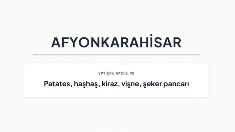 <p><strong>AFYONKARAHİSAR&nbsp;</strong></p>
