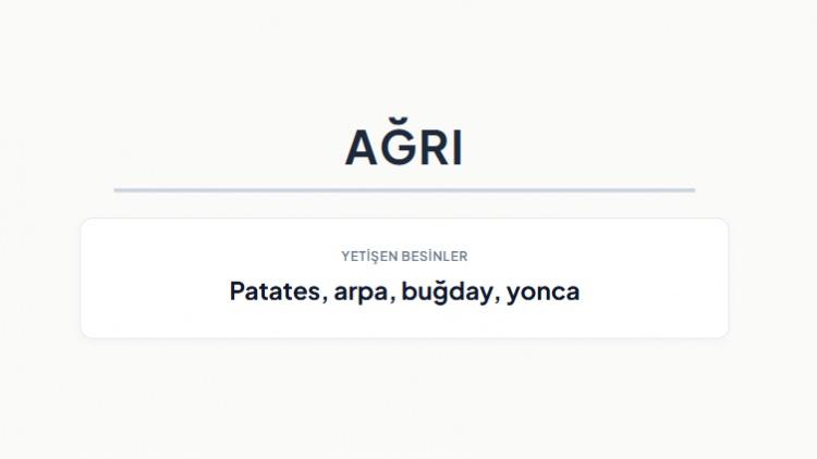 <p><strong>AĞRI&nbsp;</strong></p>
