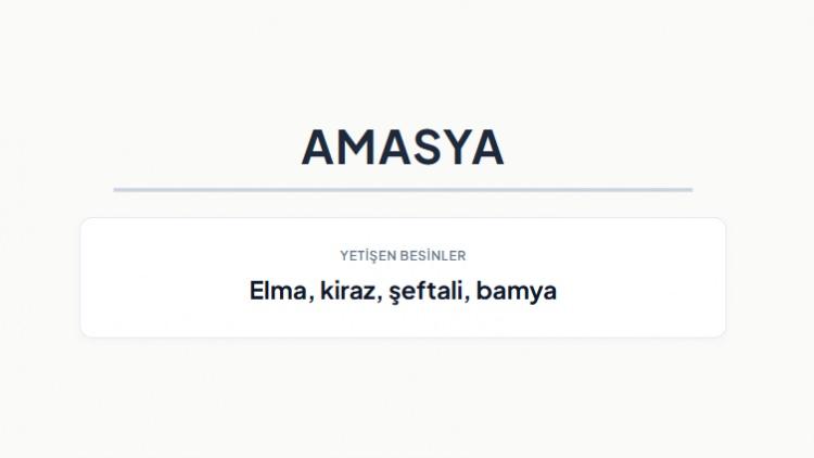 <p><strong>AMASYA&nbsp;</strong></p>
