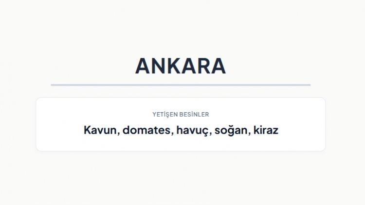 <p><strong>ANKARA&nbsp;</strong></p>
