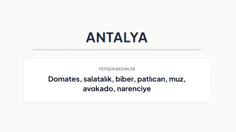<p><strong>ANTALYA&nbsp;</strong></p>
