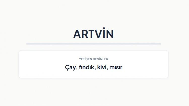 <p><strong>ARTVİN&nbsp;</strong></p>
