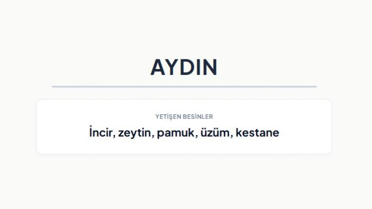 <p><strong>AYDIN&nbsp;</strong></p>
