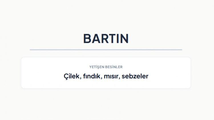 <p><strong>BARTIN&nbsp;</strong></p>

