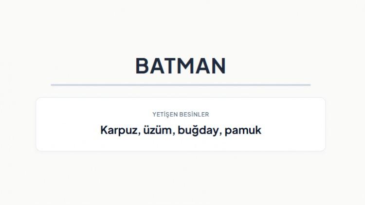 <p><strong>BATMAN&nbsp;</strong></p>
