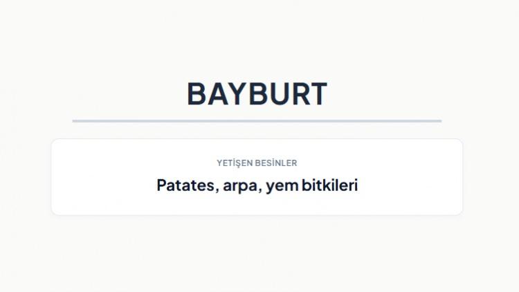 <p><strong>BAYBURT&nbsp;</strong></p>

