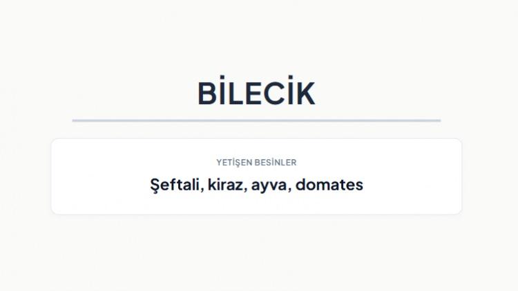 <p><strong>BİLECİK&nbsp;</strong></p>
