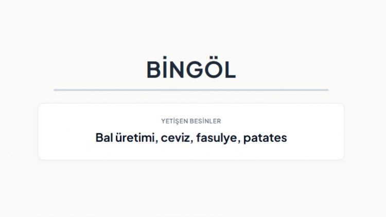 <p><strong>BİNG&Ouml;L&nbsp;</strong></p>

