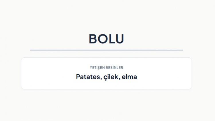 <p><strong>BOLU&nbsp;</strong></p>
