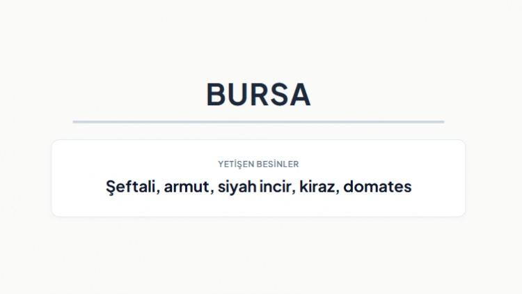 <p><strong>BURSA&nbsp;</strong></p>
