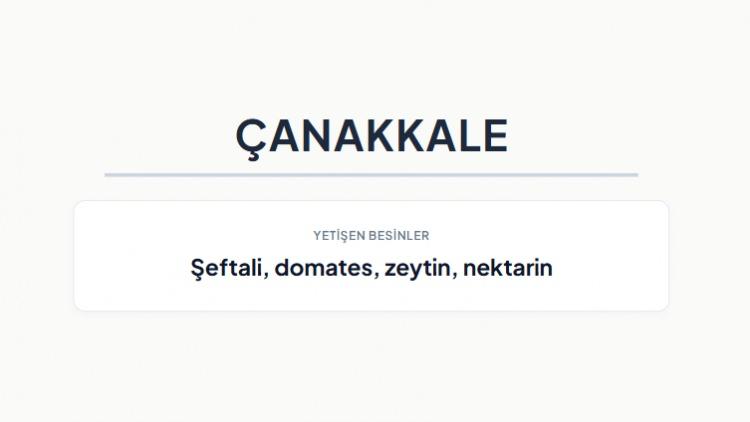 <p><strong>&Ccedil;ANAKKALE&nbsp;</strong></p>
