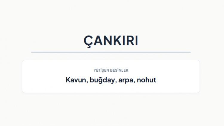 <p><strong>&Ccedil;ANKIRI&nbsp;</strong></p>
