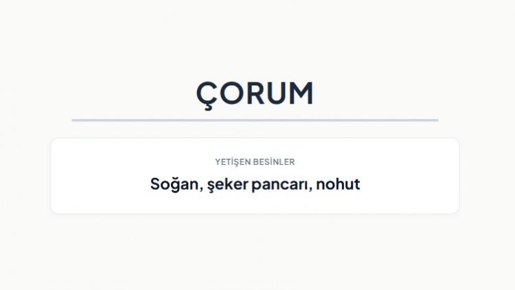 <p><strong>&Ccedil;ORUM&nbsp;</strong></p>
