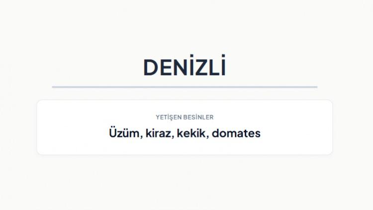 <p><strong>DENİZLİ</strong></p>
