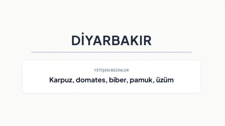 <p><strong>DİYARBAKIR&nbsp;</strong></p>
