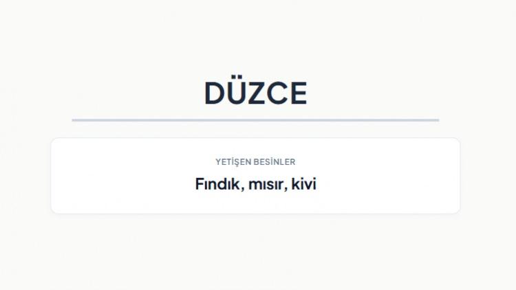 <p><strong>D&Uuml;ZCE&nbsp;</strong></p>
