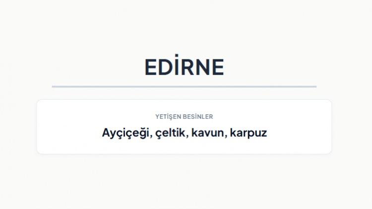 <p><strong>EDİRNE&nbsp;</strong></p>
