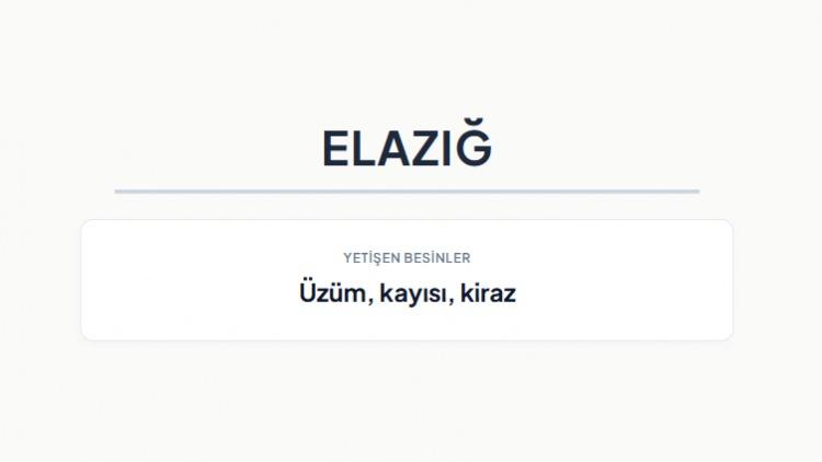<p><strong>ELAZIĞ&nbsp;</strong></p>
