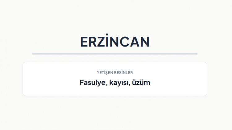 <p><strong>ERZİNCAN&nbsp;</strong></p>
