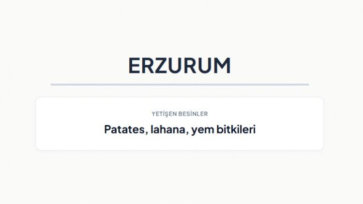 <p><strong>ERZURUM&nbsp;</strong></p>
