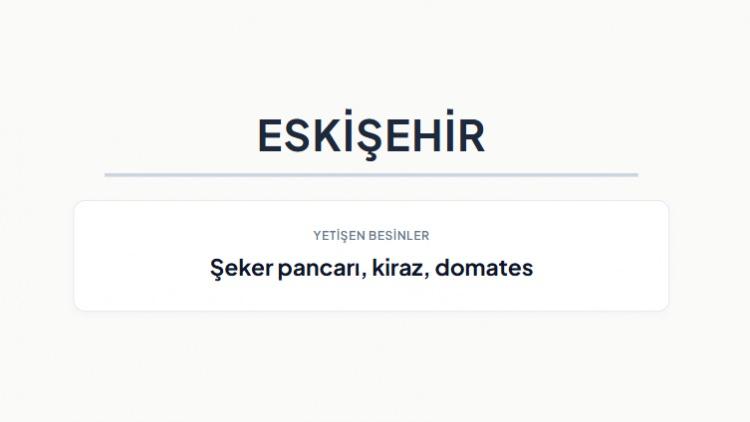 <p><strong>ESKİŞEHİR&nbsp;</strong></p>

