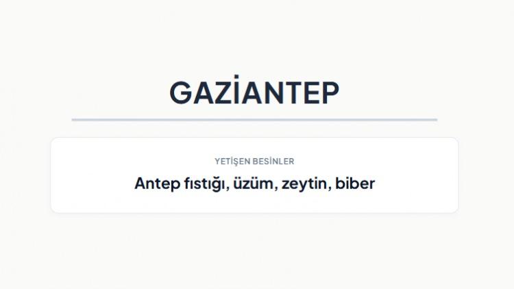 <p><strong>GAZİANTEP&nbsp;</strong></p>
