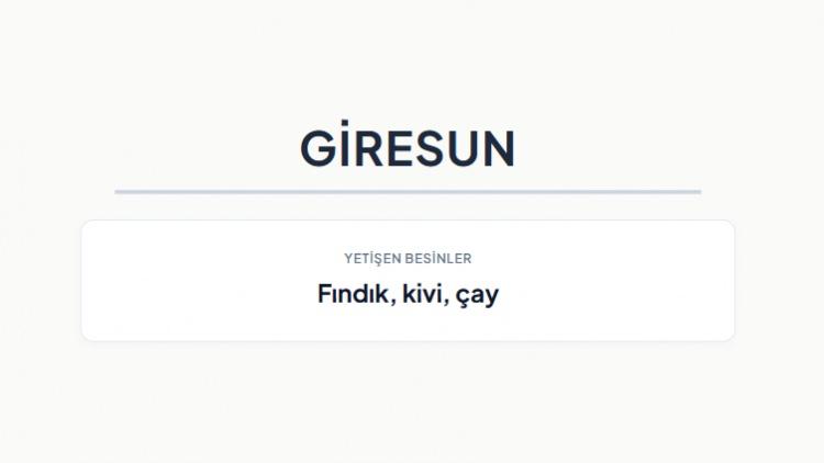 <p><strong>GİRESUN&nbsp;</strong></p>
