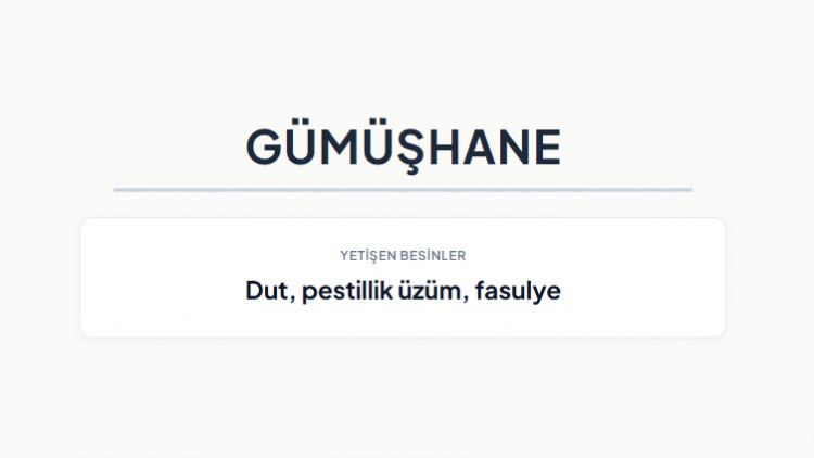 <p><strong>G&Uuml;M&Uuml;ŞHANE&nbsp;</strong></p>
